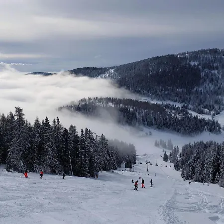 Willegger By Interhome *