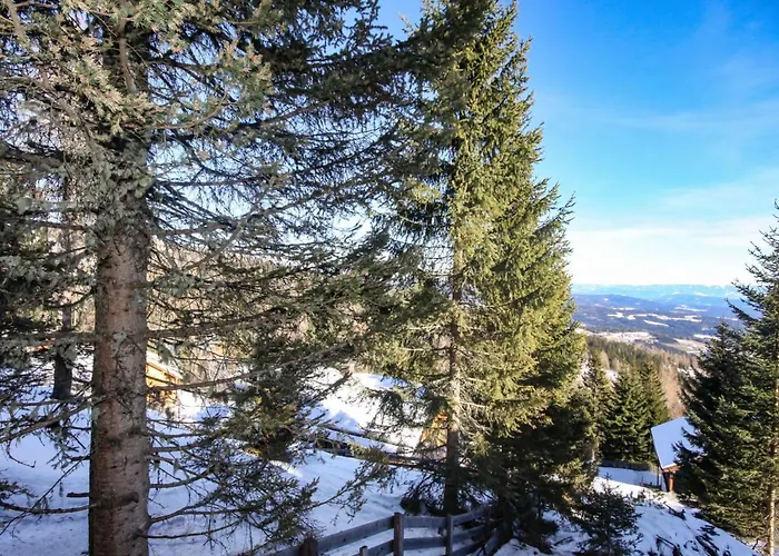 Dağ evi Willegger By Interhome